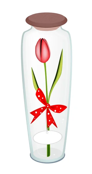 Tulipán rojo fresco con cinta roja en botella de vidrio — Vector de stock
