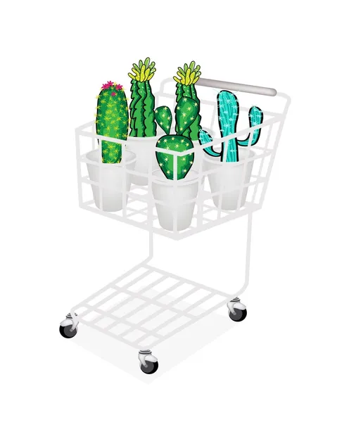 Cactus and Cactus Flowers in Shopping Cart — Stock Vector