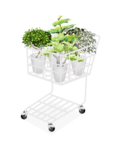 Green Trees and Plants in Shopping Cart — Stock Vector