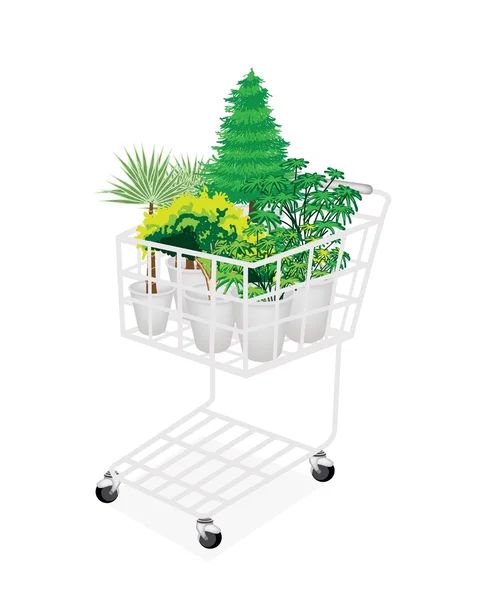 Árboles y plantas verdes en un carrito de compras — Vector de stock