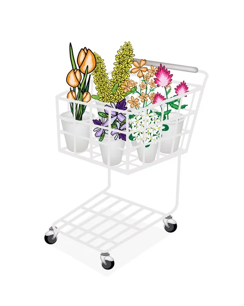 Blomma och orkidé i shoppingvagnen — Stock vektor