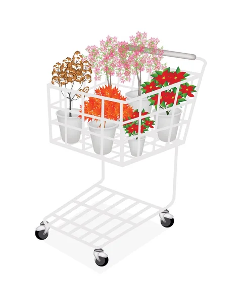 Exotiska röda blommor växter och träd i en shoppingvagn — Stockfoto