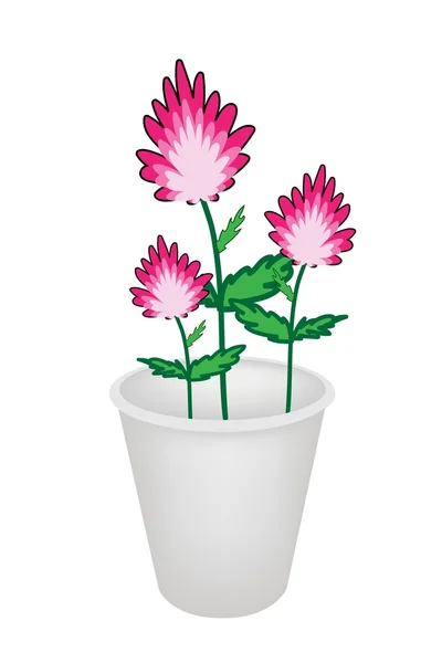 Three Beautiful Pink Flowers in A Flowerpot — Stock Vector