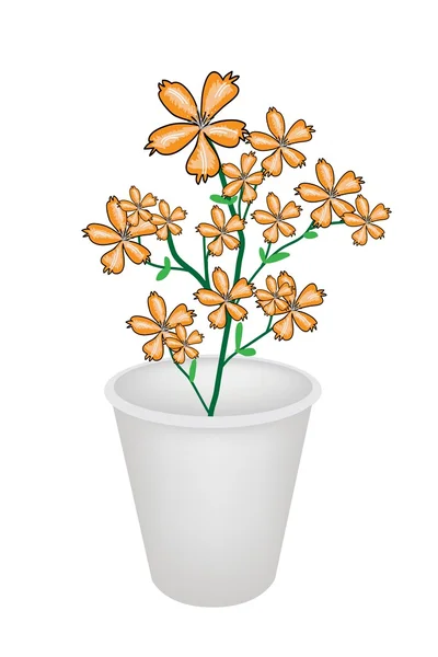 Encantadoras flores de naranja Cosmos en una maceta — Vector de stock