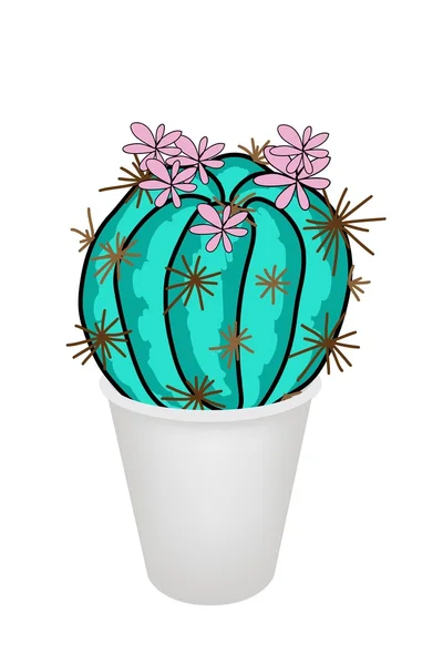 Cactus Plant and Pink Flower in A Flowerpot — Stock Vector