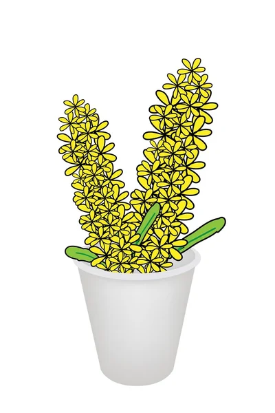 Yellow Dendrobium Orchid in A Flower Pot — Stock Vector