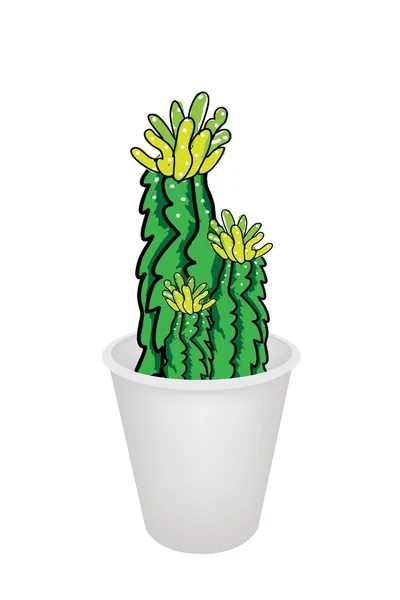 Tres plantas de cactus y flor en maceta — Vector de stock