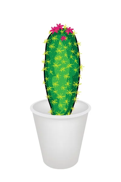 A Cactus Plant in A Flower Pot — Stock Vector