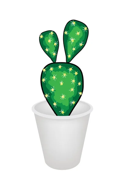 Een cactus opuntia microdasys in een bloempot — Stockvector