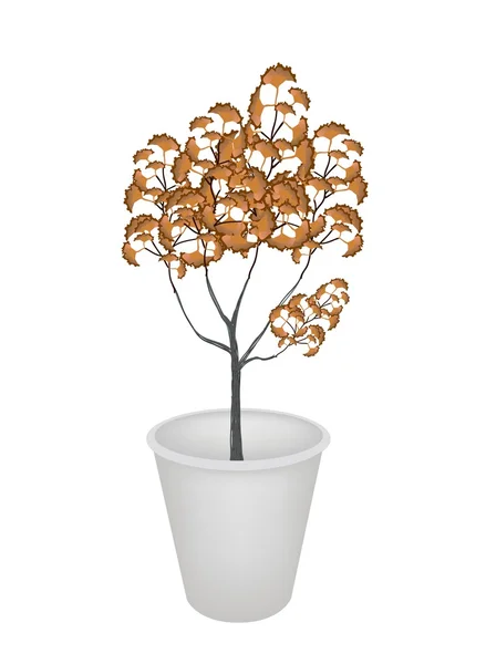 Um Isométrico Abstrato de Árvores em vaso de flores — Vetor de Stock