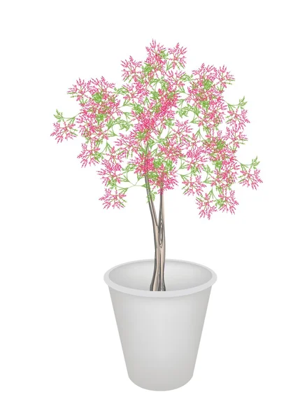 Beautiful Pink Flowering Plants in Flower Pot — Stock Vector