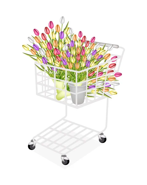 Bouquet tulipa fresca bonita em um carrinho de compras — Fotografia de Stock