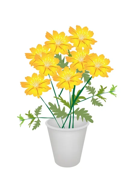 Group of Cosmos Flowers in A Flower Pot — Stock Vector