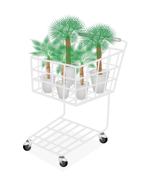 Illustration av palmträd i en kundvagn — Stock vektor