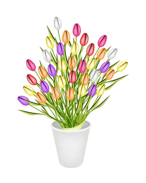 Hermoso ramillete de tulipán fresco en una maceta — Vector de stock