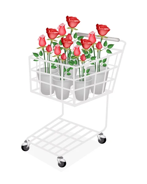 Illustration Red Roses in A Shopping Cart — Stock Vector