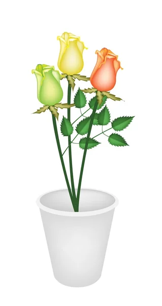 Three Beautiful Roses in A Flower Pot — Stock Vector