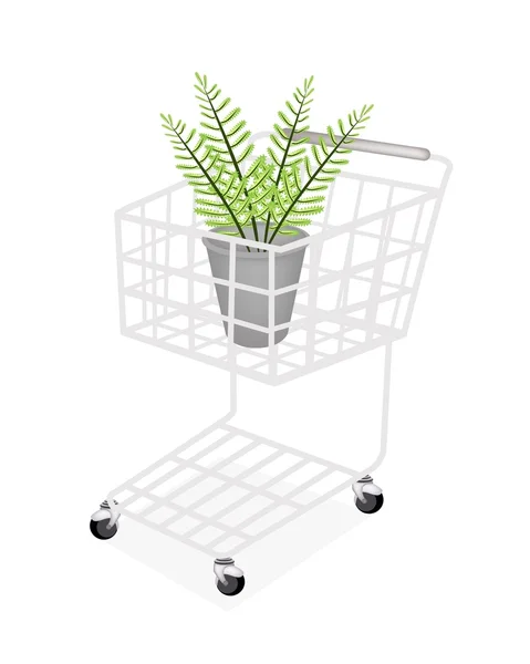 Beautiful Green Fern in A Shopping Cart — Stock Vector