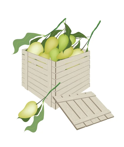 Sweet Mango Fruits in Wooden Cargo Box — Stok Vektör