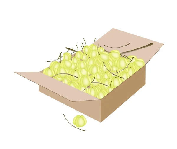 Yıldız bektaşi üzümü meyve nakliye kutusu — Stok Vektör
