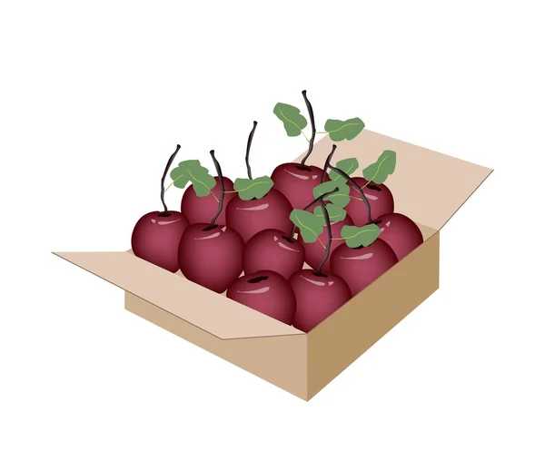 Doce maçã fresca em uma caixa de transporte — Vetor de Stock