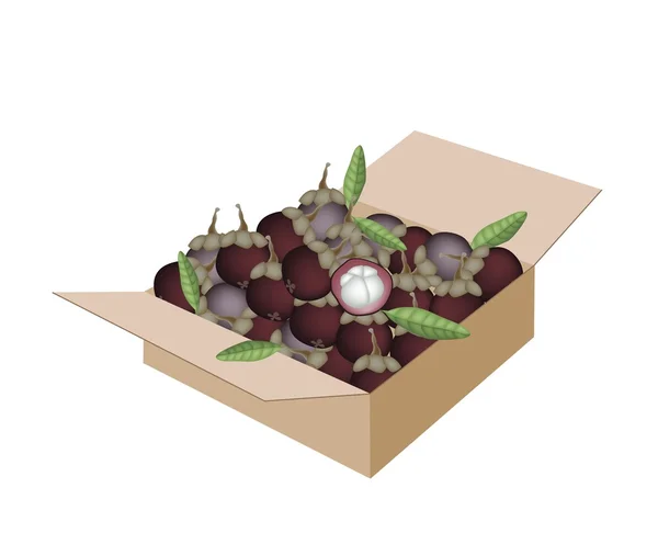 Mangostinos morados frescos en una caja de envío — Vector de stock