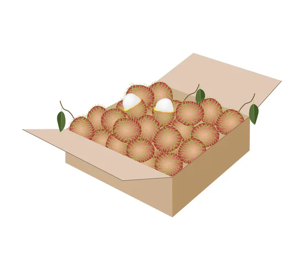 Rambutans frescos maduros y jugosos en una caja de envío — Vector de stock