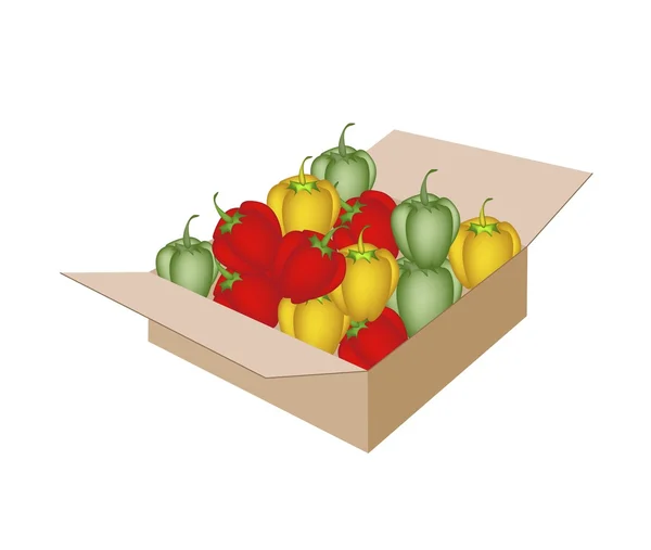 Fresh Bell Peppers in A Shipping Box — Stock Vector