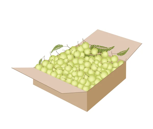 Frutas del grosellero indio en una caja de envío — Vector de stock