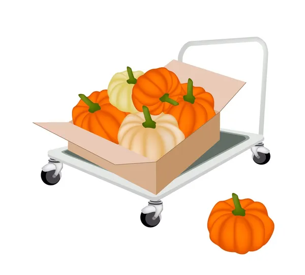 Hand Truck Loading Pumpkins in Shipping Box — Stock Vector
