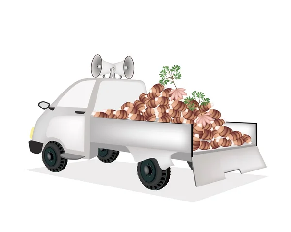 Taroes frescos en una camioneta lista para la venta — Vector de stock