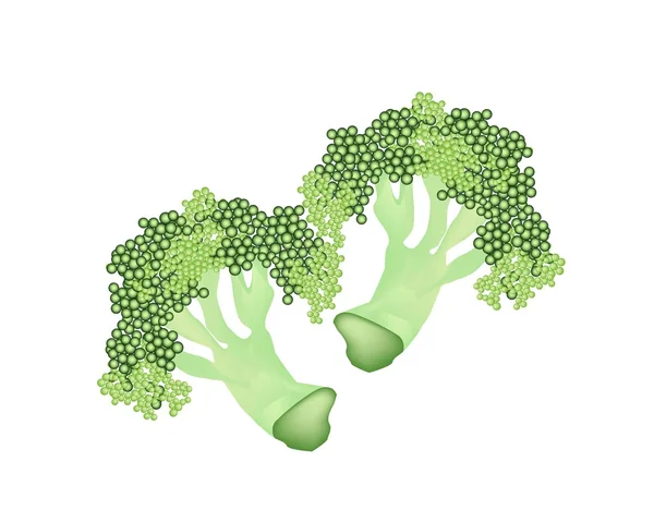 Świeże brokuły surowe na białym tle — Zdjęcie stockowe