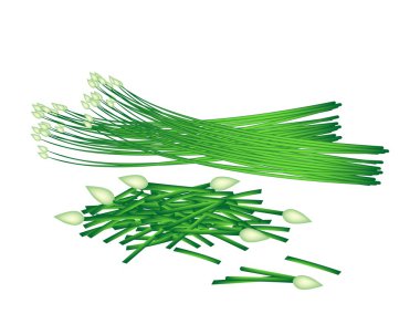 beyaz zemin üzerine taze çiçekli sarımsak chives