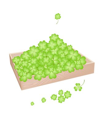 shamrock tahta kap içinde bir sürü