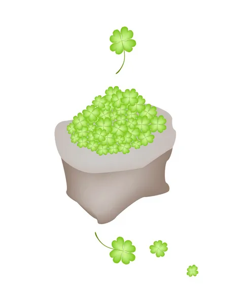 Fresh Four Leaf Clovers in A Sack — Stock Vector