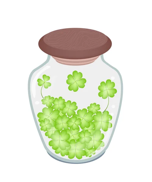 Fresh Four Leaf Clovers in A Jar — Stock Vector