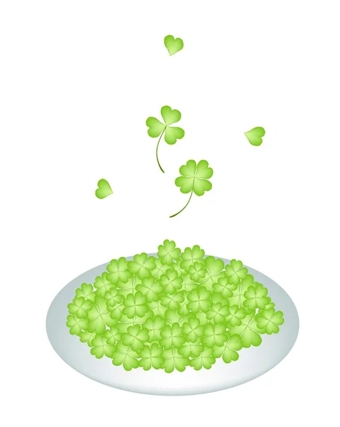 A Lot of Four Leaf Clovers on Plate — Stock Vector