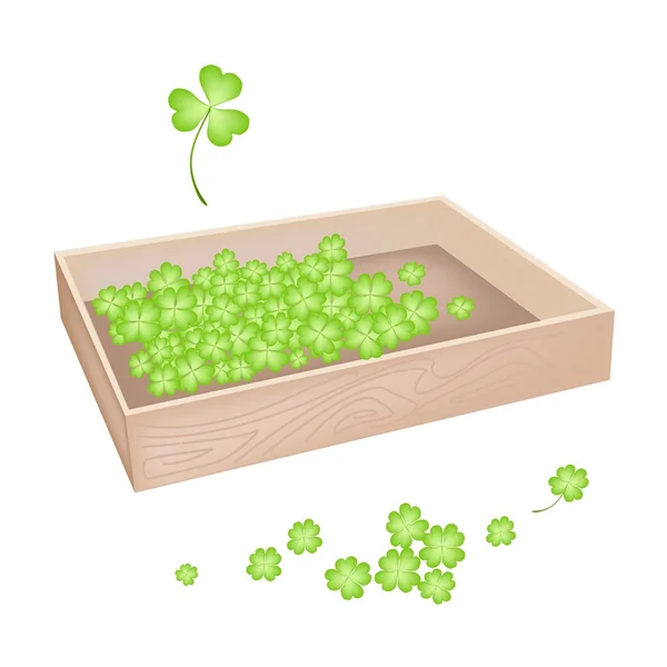 Een heleboel shamrock in houten kist — Stockvector