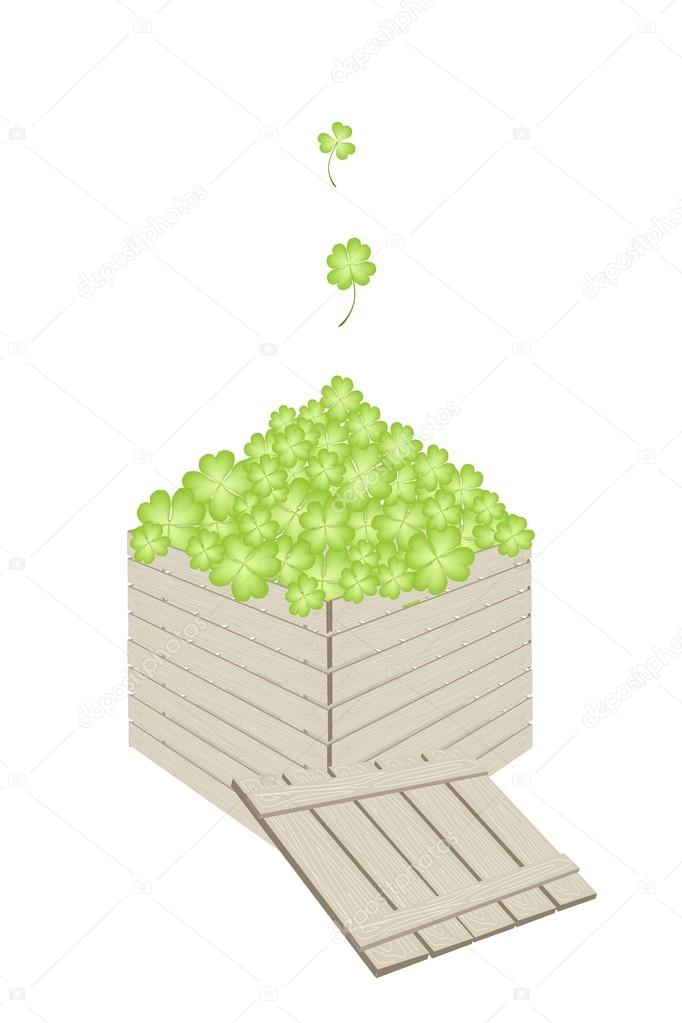 Four Leaf Clovers in A Wooden Cargo Box