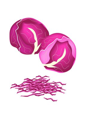 Fresh Purple Cabbage on A White Background clipart