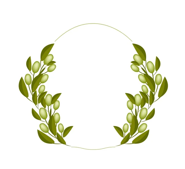 A Fresh Olive Wreaths on White Background - Stok Vektor