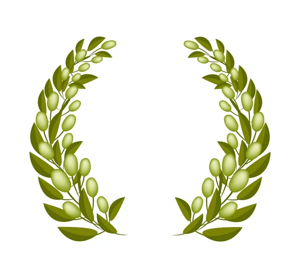 Una corona de olivo Beautifu sobre fondo blanco — Vector de stock