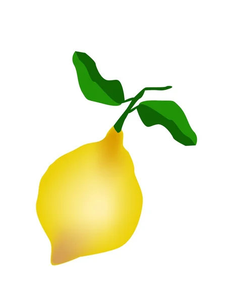 Un citron frais sur fond blanc — Image vectorielle