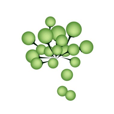 beyaz zemin üzerine taze Türkiye berry