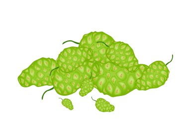 bir yığın noni veya morinda yeşil meyveler