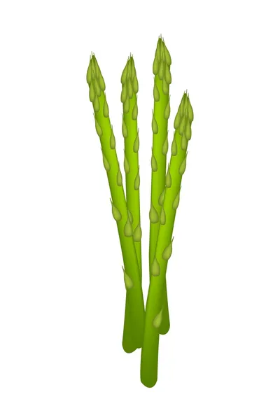 Färsk grön sparris på en vit bakgrund — Stock vektor