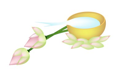 Altın kase su ve iki lotus