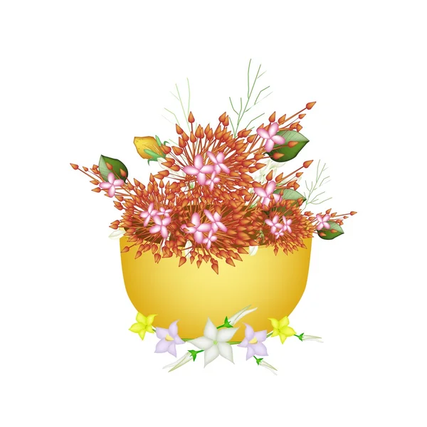 Ixora, Eierpflanzenblume und Burmuda-Gras in einer Schüssel — Stockfoto