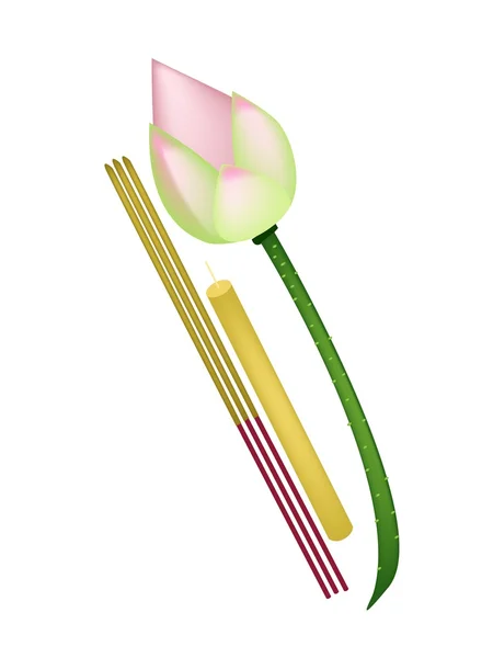 Pink Lotus with Joss Sticks and Candle — Stock Vector