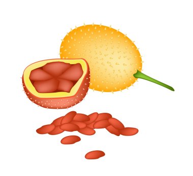beyaz zemin üzerine taze turuncu bebek jackfruits